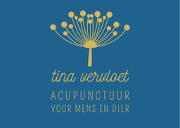 Tina Vervloet
