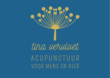 Tina Vervloet