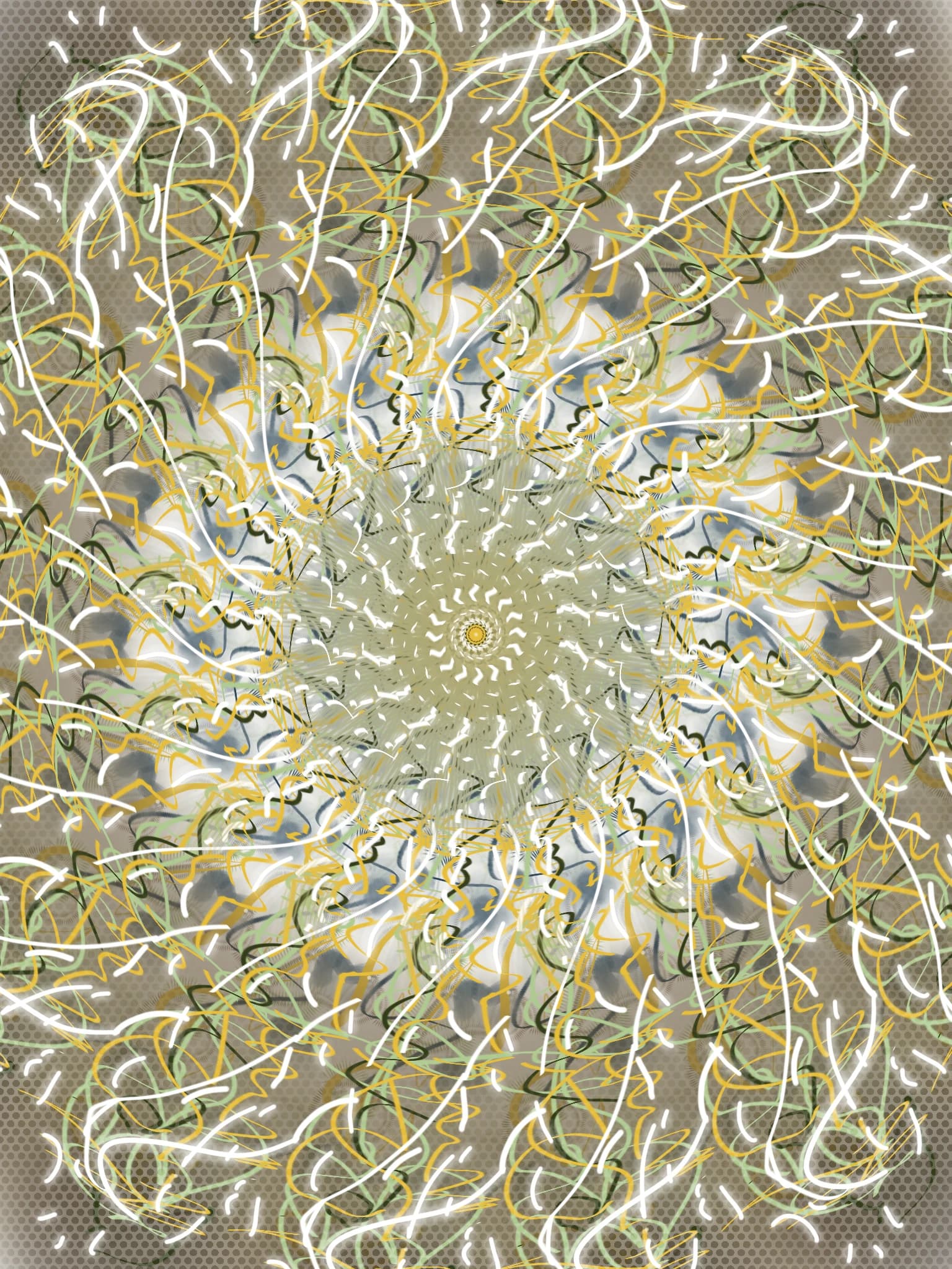 Fréquence 04 — ENRACINE