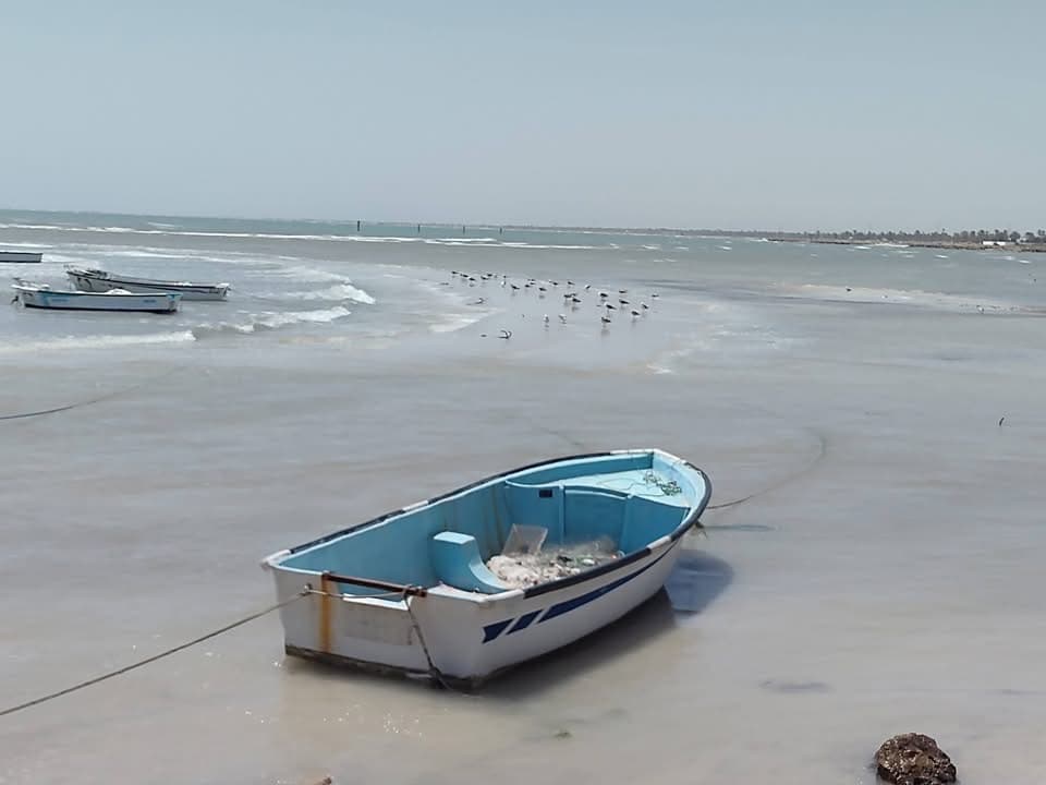 Retraite EURYCLÉE : Vivre son Odyssée Intérieure à Djerba - photo 2