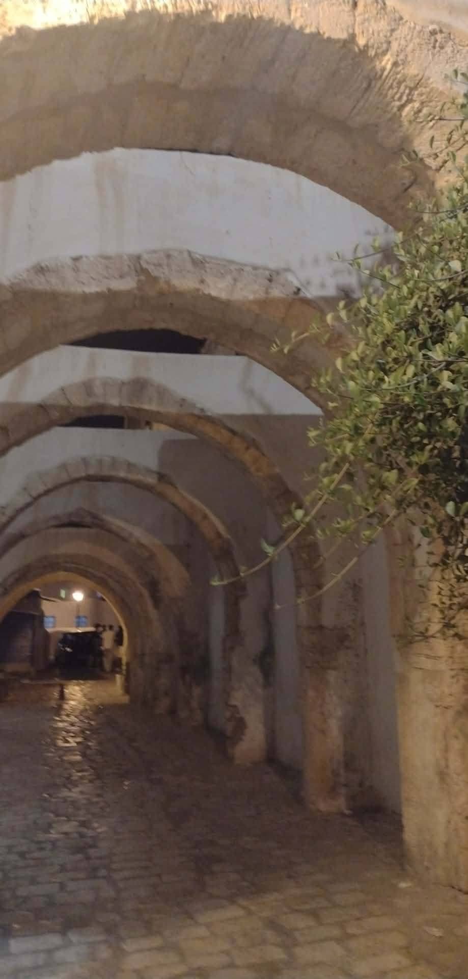 Retraite EURYCLÉE : Vivre son Odyssée Intérieure à Djerba - photo 5